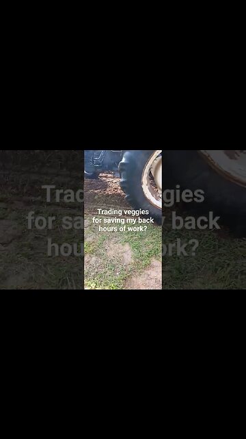 Saved my back hours of work by trading #veggies #homesteading #homestead #garden