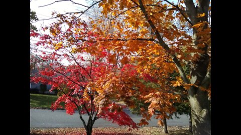 🍁SEPTEMBER BREAKING POINT