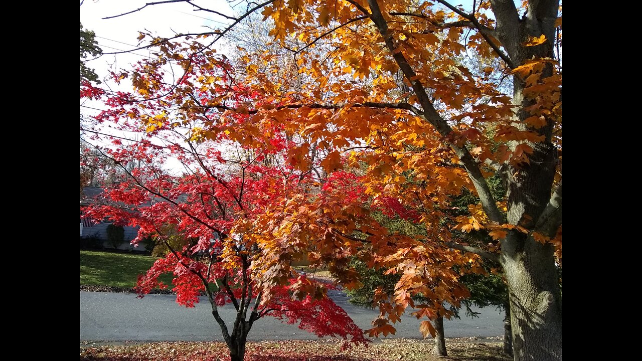 🍁SEPTEMBER BREAKING POINT