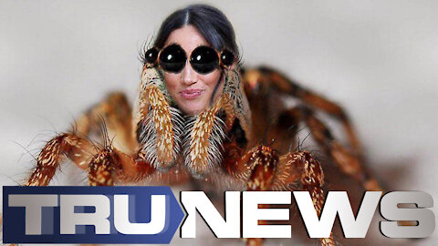 The Curse of the Tarantula
