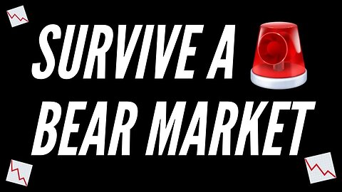 BEAR MARKET SURVIVAL GUIDE // PART 1