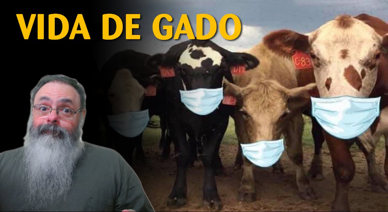 Estudo mostra que máscaras não servem para nada e prejudicam saúde