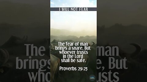 Finding Safety in a Scary World in Today's Daily Inspiration!