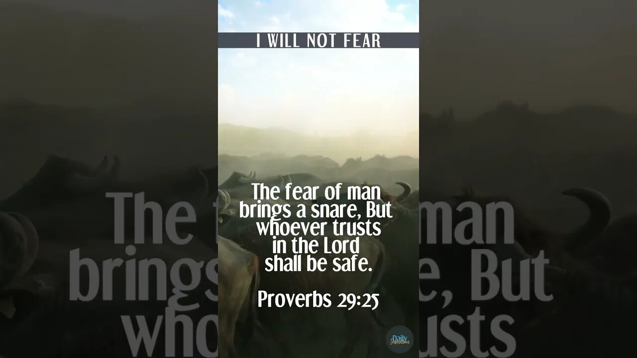Finding Safety in a Scary World in Today's Daily Inspiration!