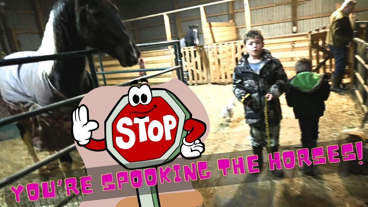 STOP! You're Spooking The Horses! Camping outside in a blizzard