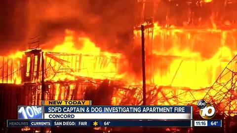 SD Fire Captain and his dog investigate fire