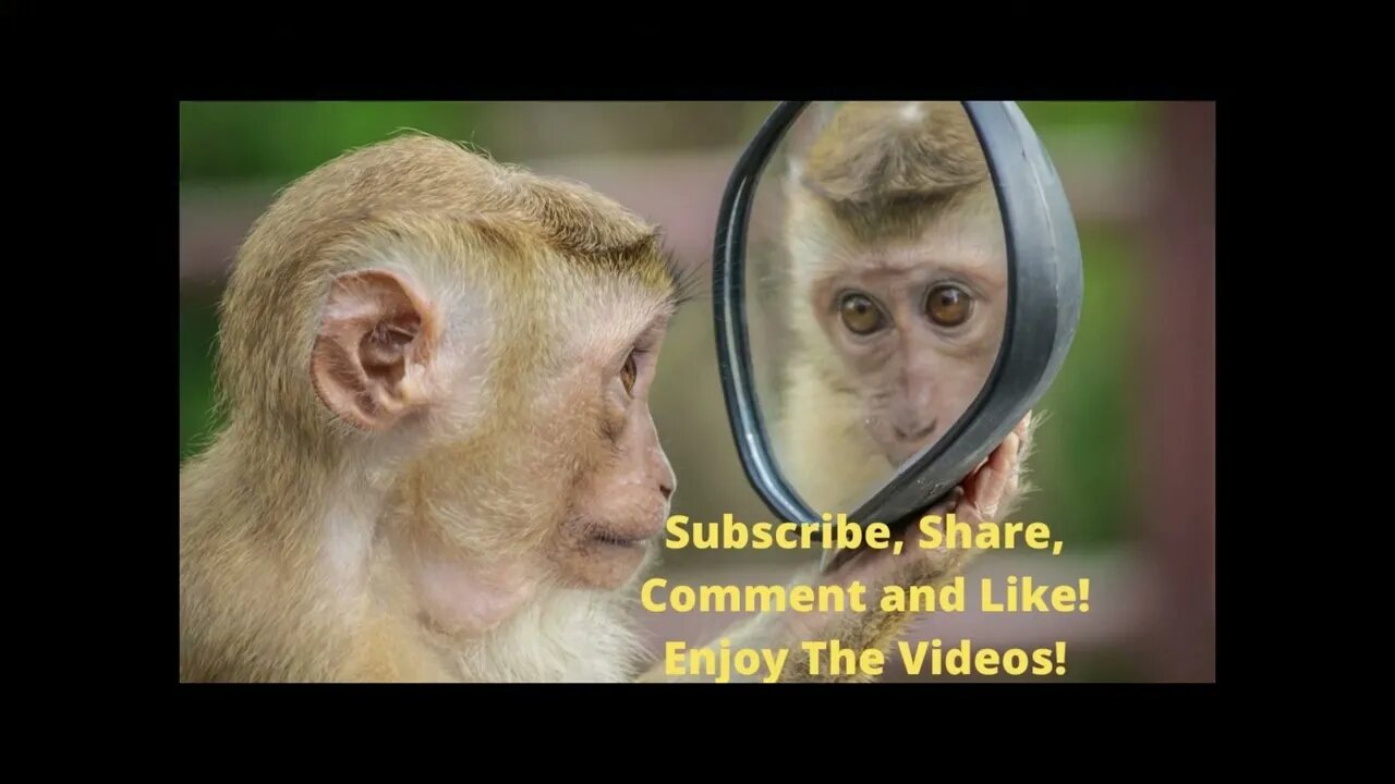 Comment, Share, Like and Subscribe