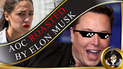 AOC gets ROASTED by Elon Musk