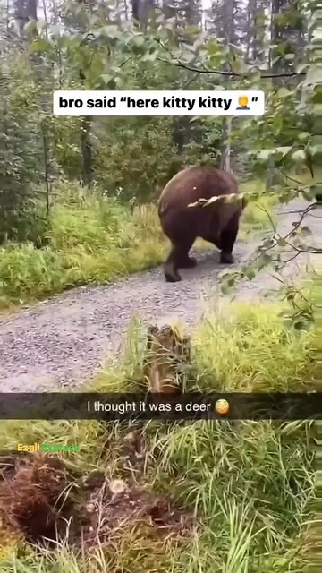 Bro thought it was a kitty‼️‼️