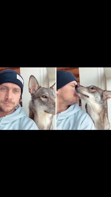 Pup has adorable reaction to "bark at your dog" challenge