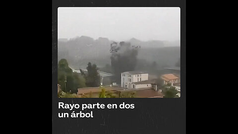 Rayo parte en dos una secuoya centenaria de 33 metros