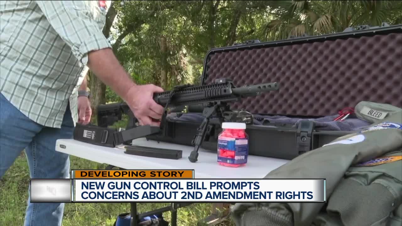 New senate bill aims at public safety and gun purchases