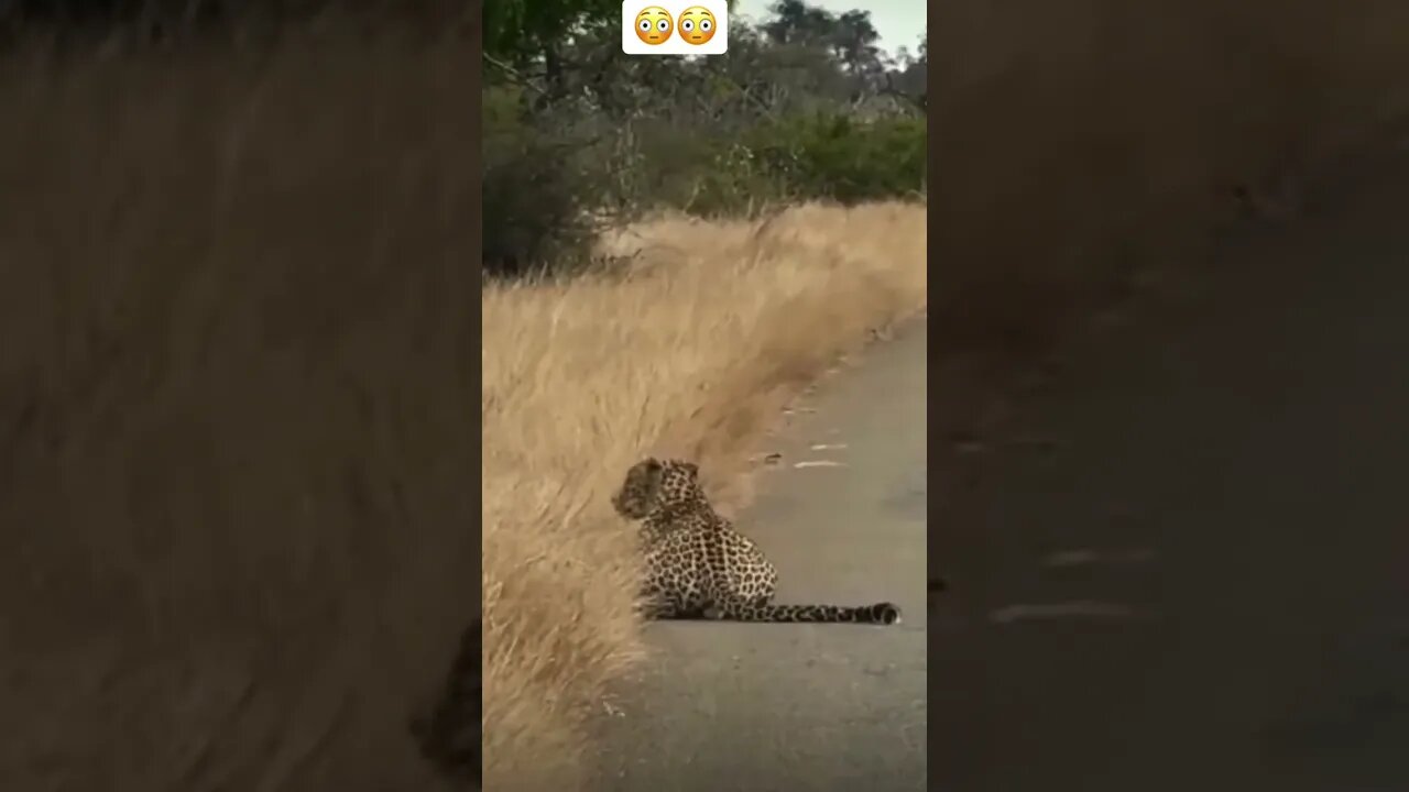 Wow 😳 #shorts #saintpee #viral #youtubeshorts #music