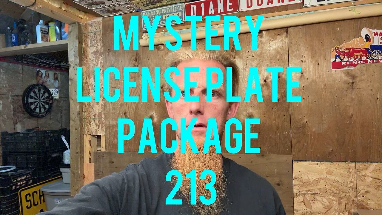 Mystery license plate package 213