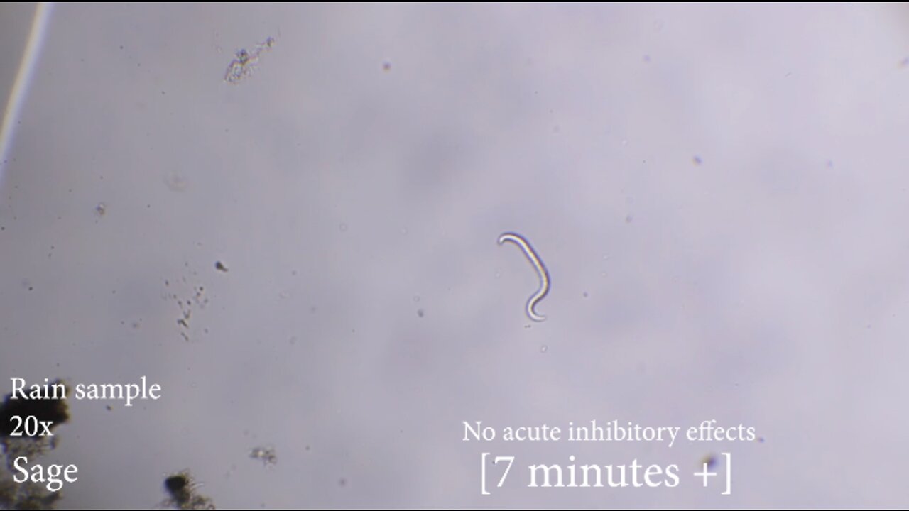 2022-06-29 Moving organisms on Sage