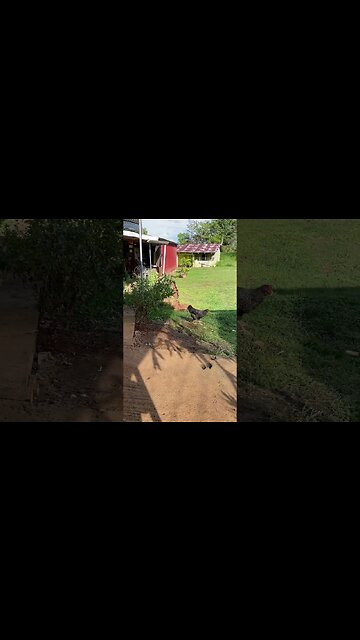 Mangiare in ristorante in Costa Rica