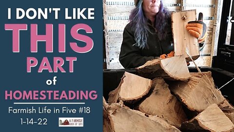 I Don't Like THIS Part of Homesteading... | Farmish Life in Five | 1-14-22