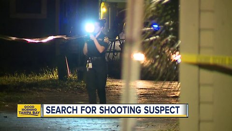 St. Pete Police investigating homicide