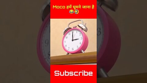 Moco हमें घूमने जाना है 😂🤣 Moco Dog Funny Shorts Video kvideo