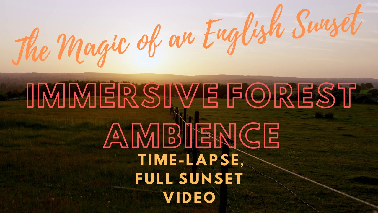 🌞🌄The Magic of an English Sunset: Immersive Forest Ambience - Time-Lapse, Full Sunset Video.