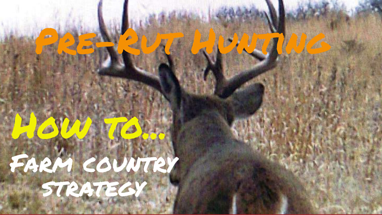 Pre-Rut Whitetail Strategy : How To Hunt The Pre-Rut in Open Farm Country