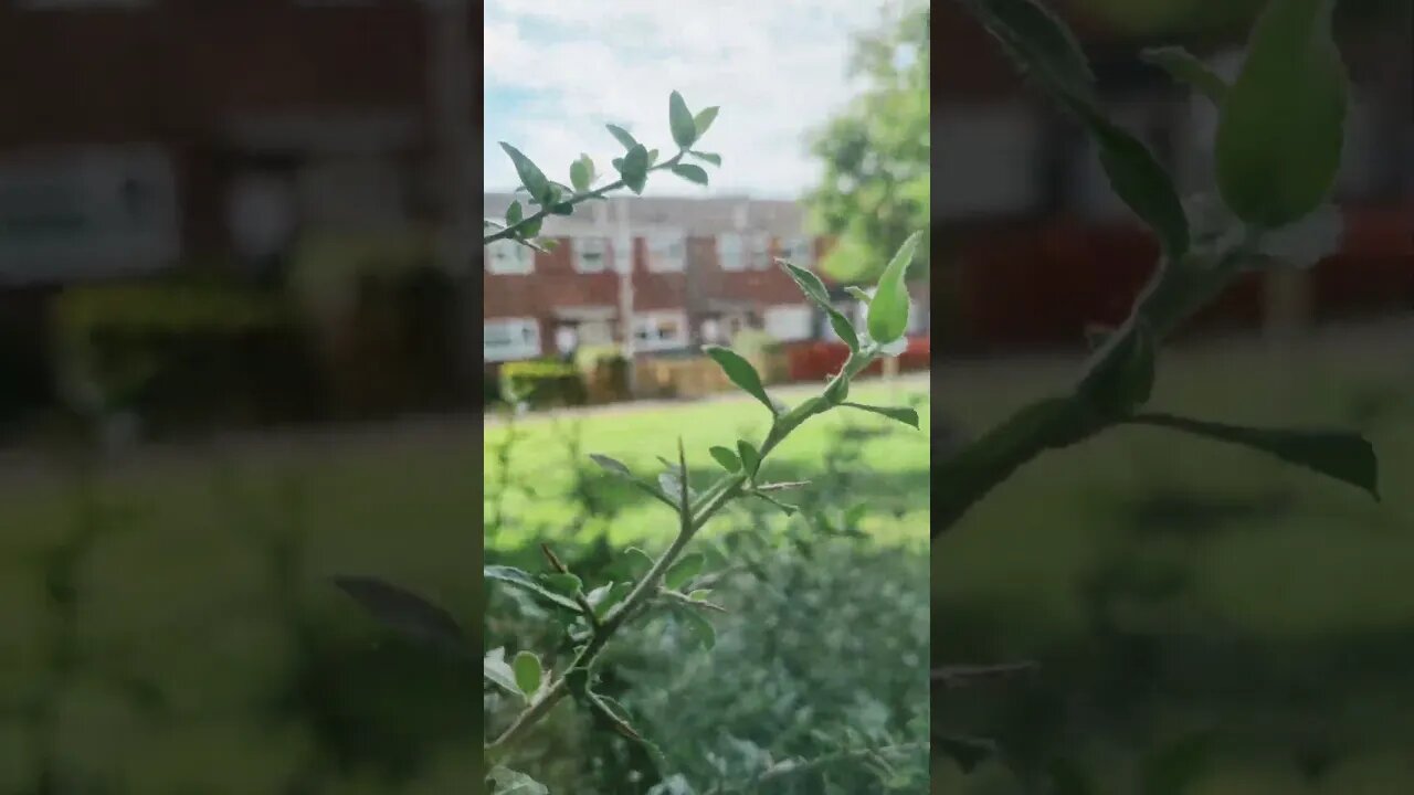 #veiws_viral_video_subscribers_grow bedroom 😍 view in daylight 😍 👌 enjoy #clip ✨️ and subscribe