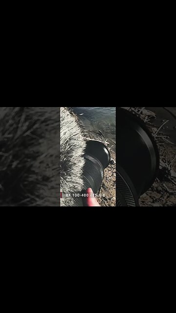 First YouTube #shorts - Testing the RP 100-400 f5.6-8 video quality