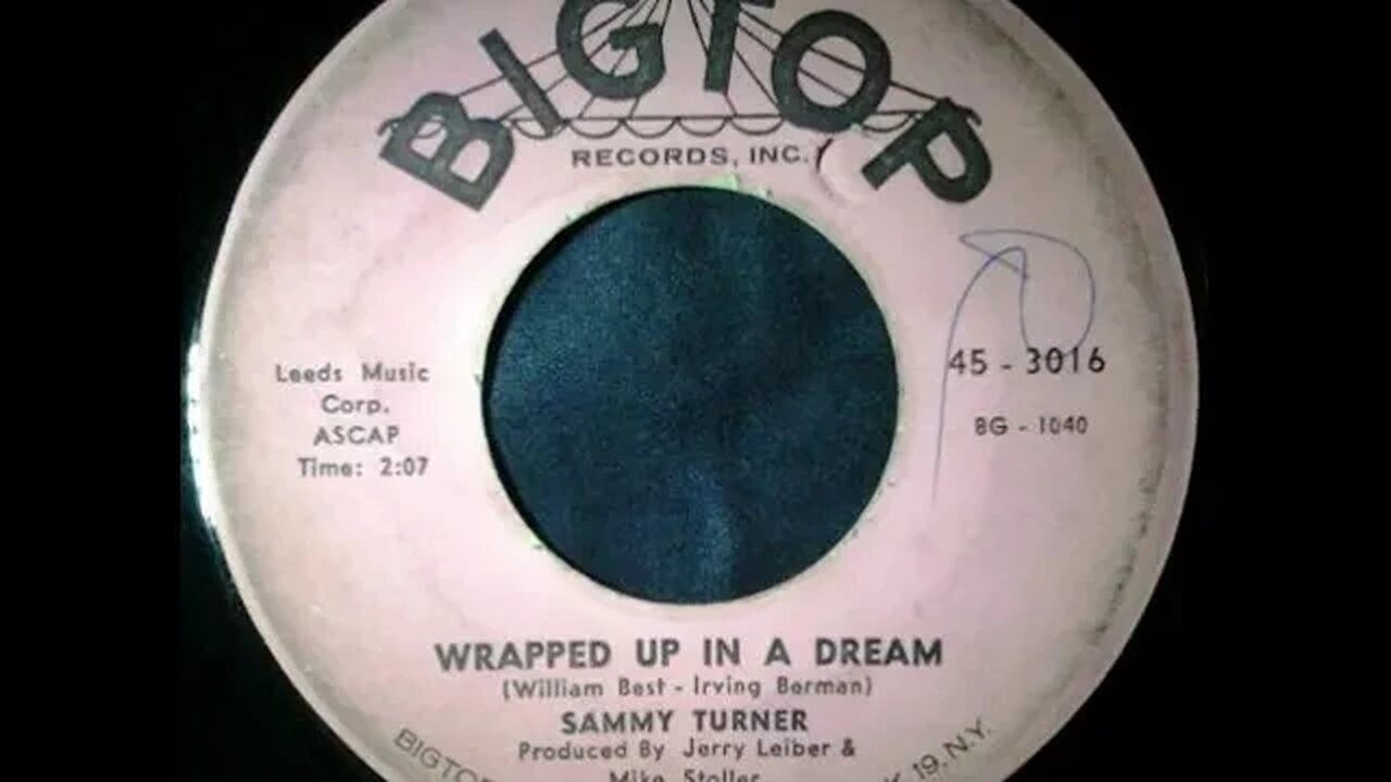 Sammy Turner - Wrapped Up In a Dream