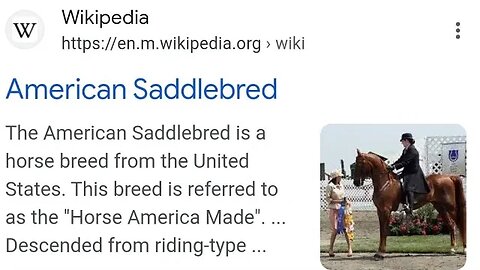 AMERICAN SADDLEBREAD