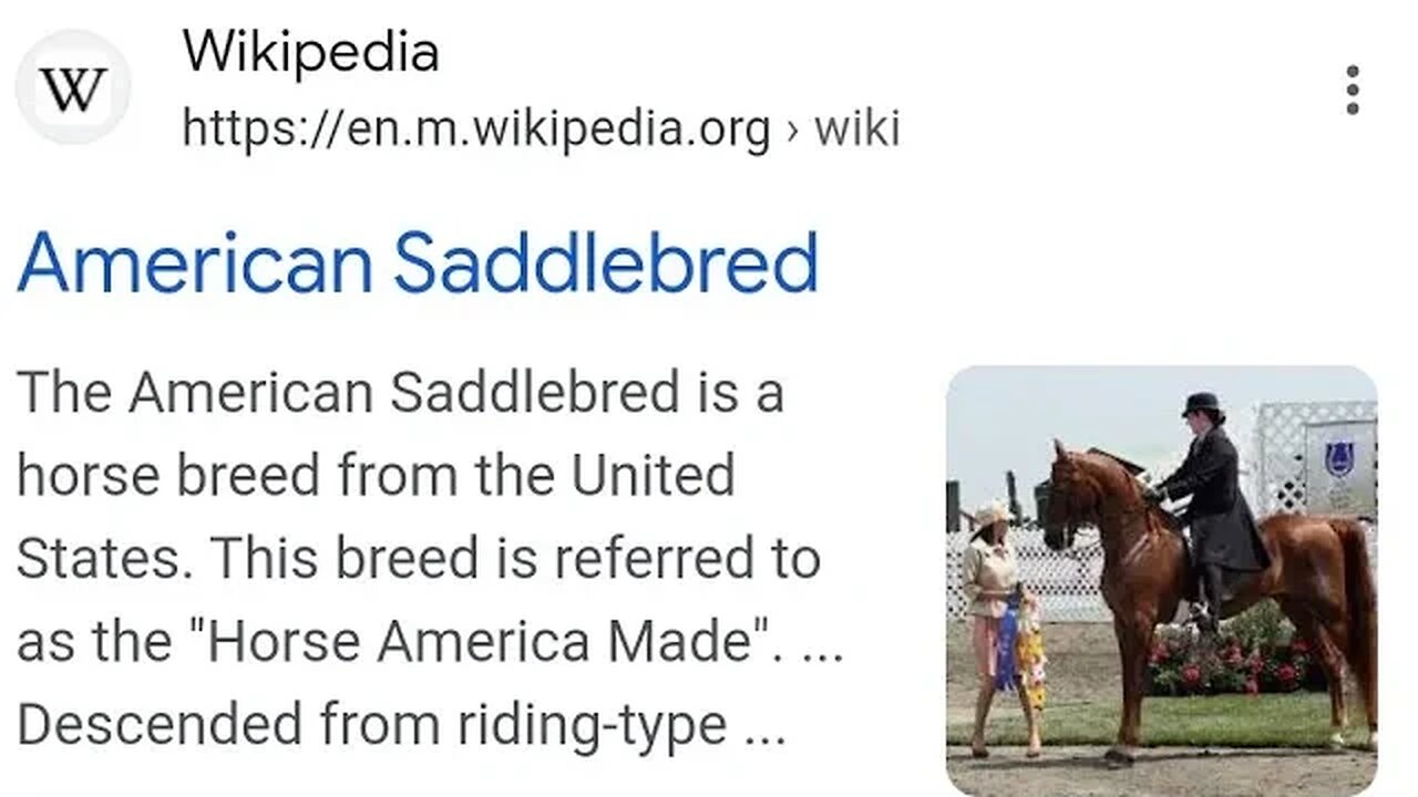 AMERICAN SADDLEBREAD