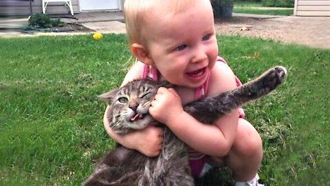 Funny Pets Video that will Brighten Up Your Day