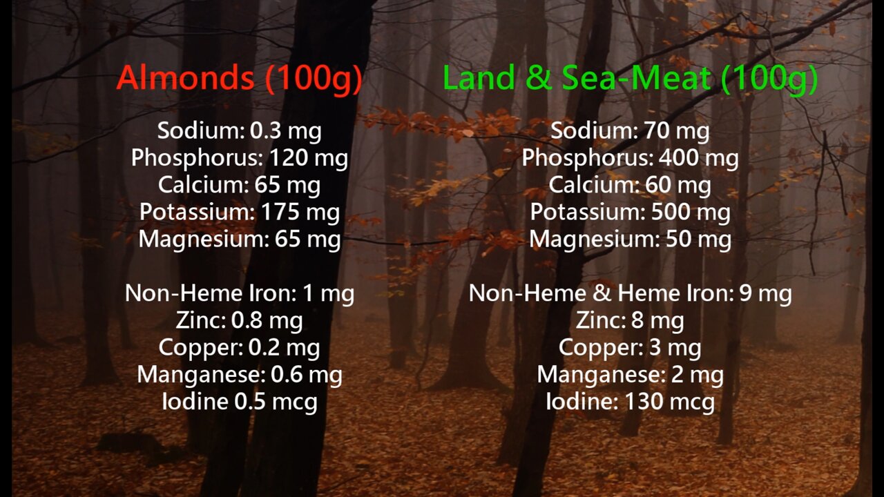 Vegan Food vs. Natural Food | Micronutrient Comparison