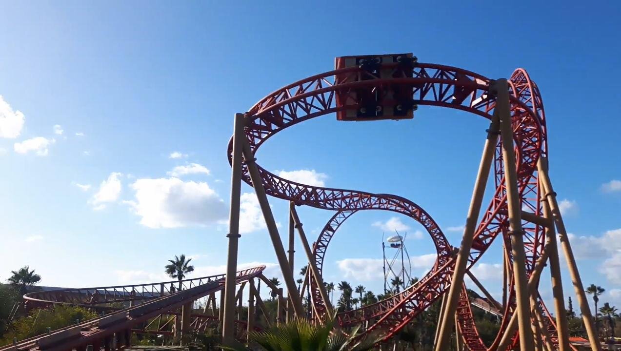 Roller in Morocco