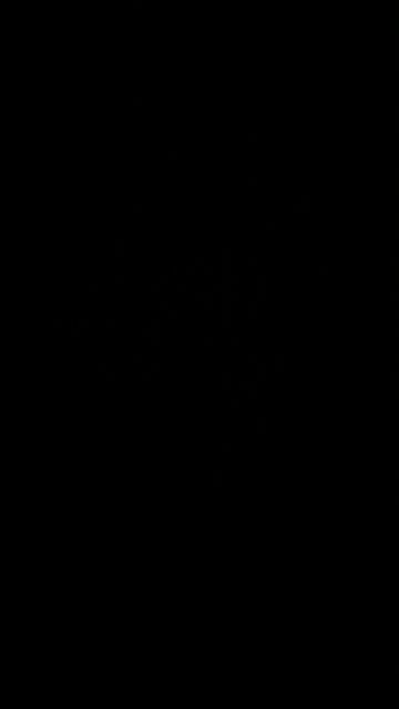 Jim Justice for US Senate wins!