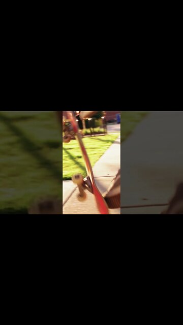 #Shorts #Skateboard #Riding #Hardflip #Tricks #Sports #Kick #Euphoria