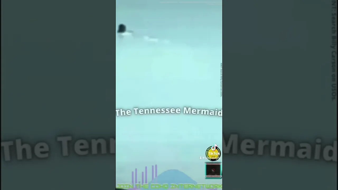 #tennesseemermaid