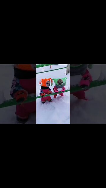 You Won't Believe What This Adorable Animal Does Next!