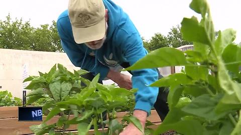 New 3 Degree Guarantee partner: Growing Oshkosh