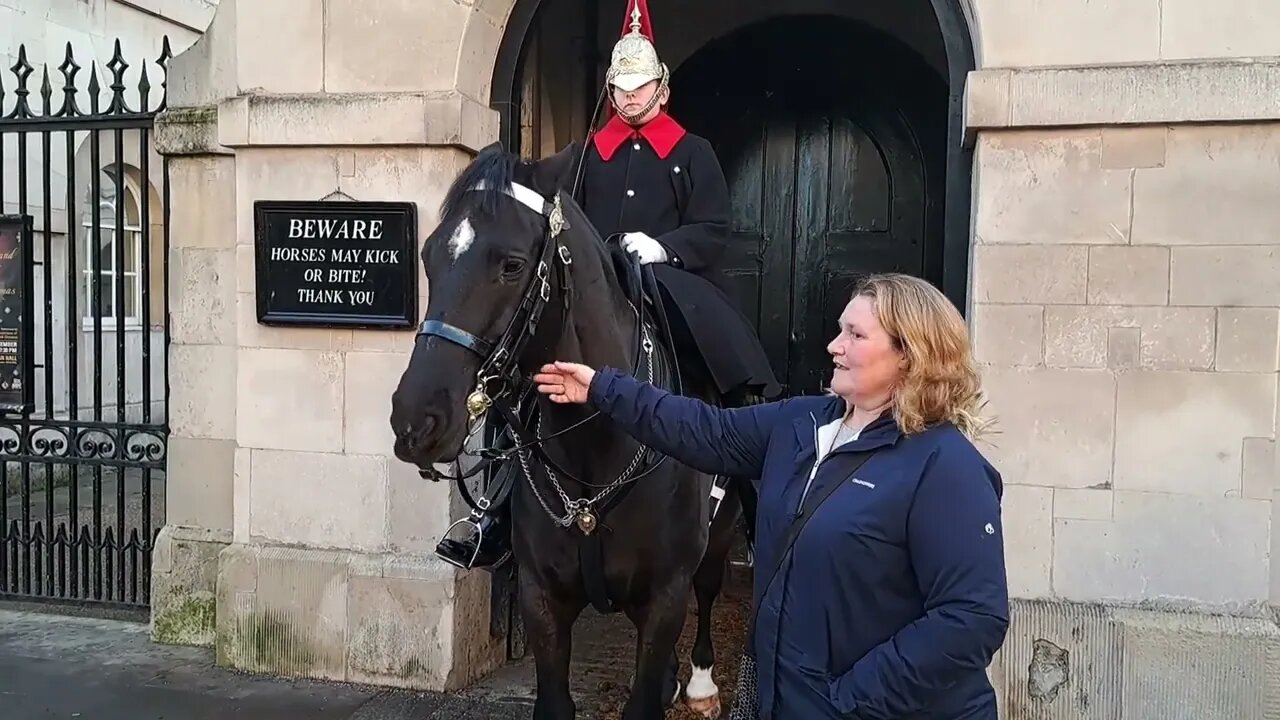 Stop touching the Horse. your aloud to touch the Horse #horseguardsparade