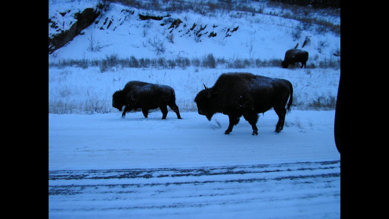 Drive to Alaska