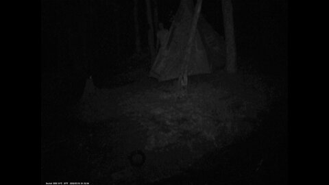Figure In The Forest