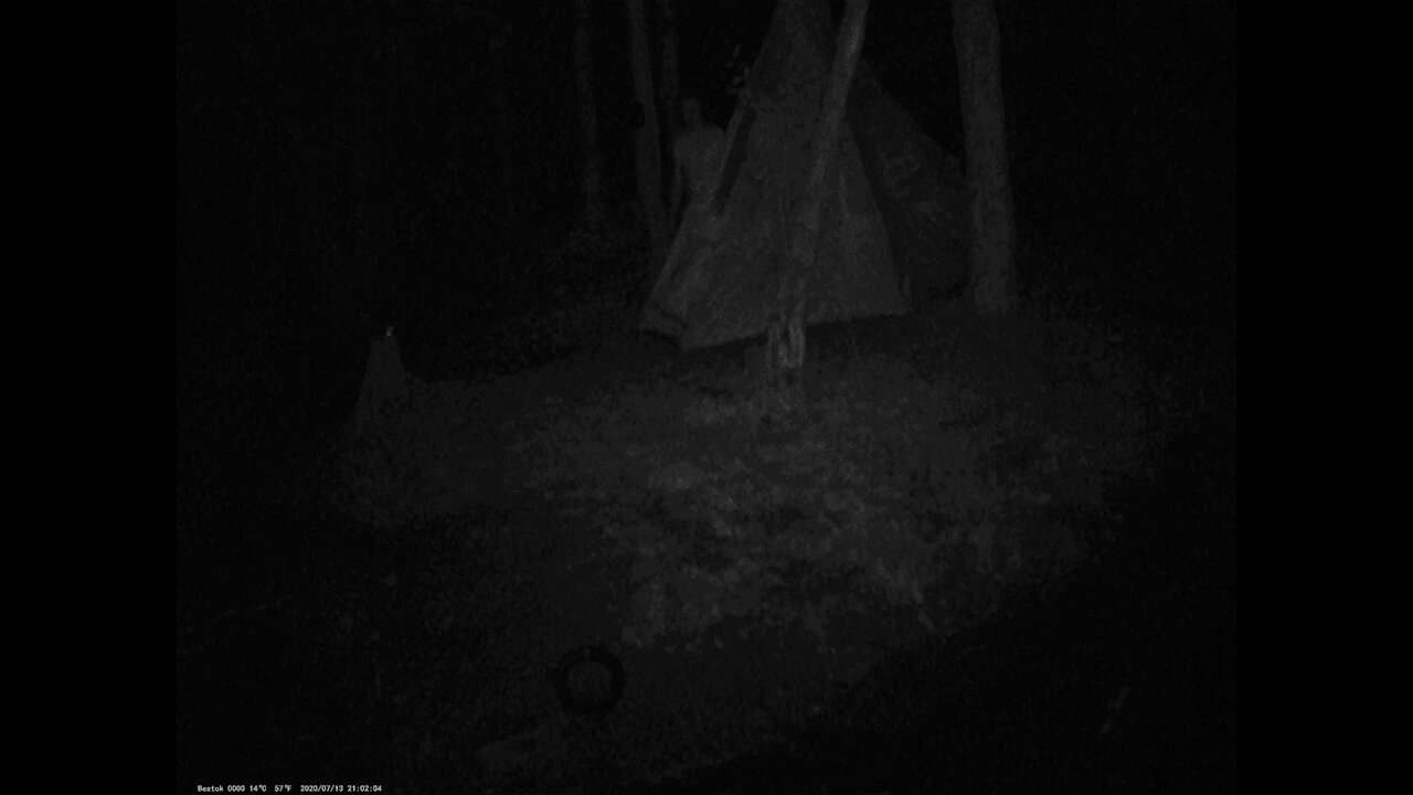 Figure In The Forest