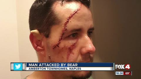 Bear attacks man in Naples