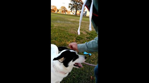 Everest at the baseball field playing