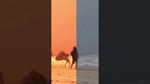 COLOR GRADING THE COVE with Tyler Polani