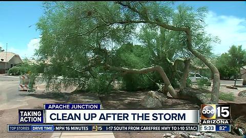 Storm cleanup begins after monsoon storm