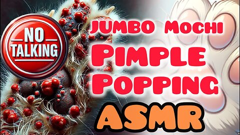 JUMBO Mochi pimple popping no talking ASMR💦 cat paw 🐾 #visualasmr #pimplepopping