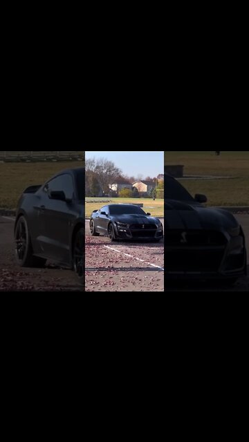 Evolving ⚫️🐍 #ford #mustangsociety #fordperformance #fordracing #shorts