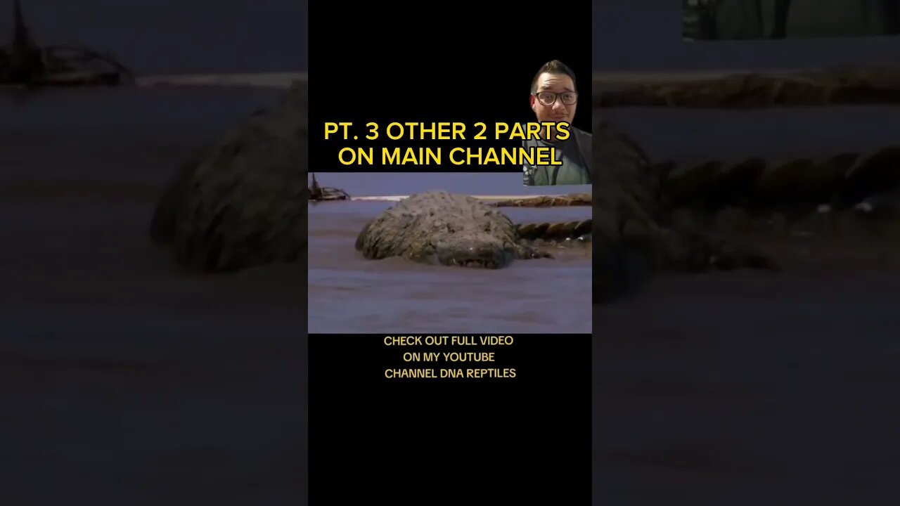 Witchdoctor used a Dog as BAIT to catch Gustave Pt. 3
