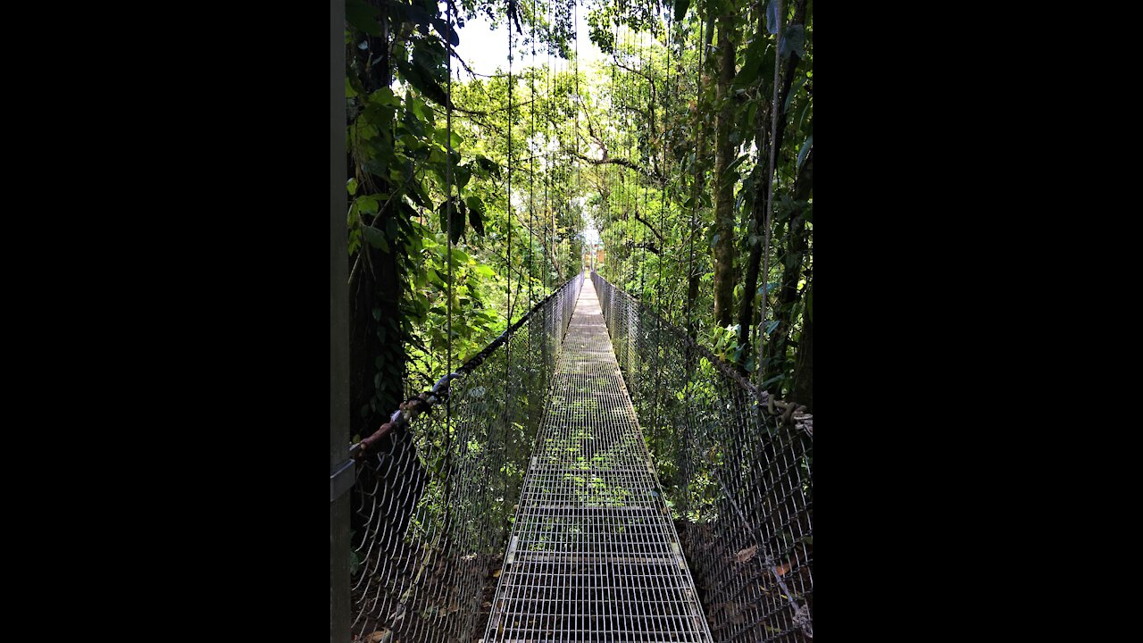 Hanging Bridges Park, LaFortuna, Costa Rica, March 2017